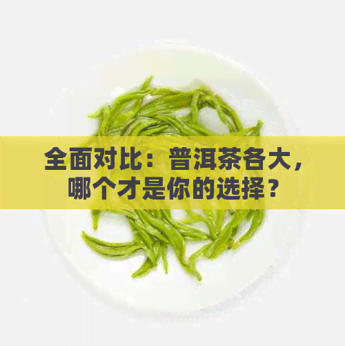 全面对比：普洱茶各大，哪个才是你的选择？