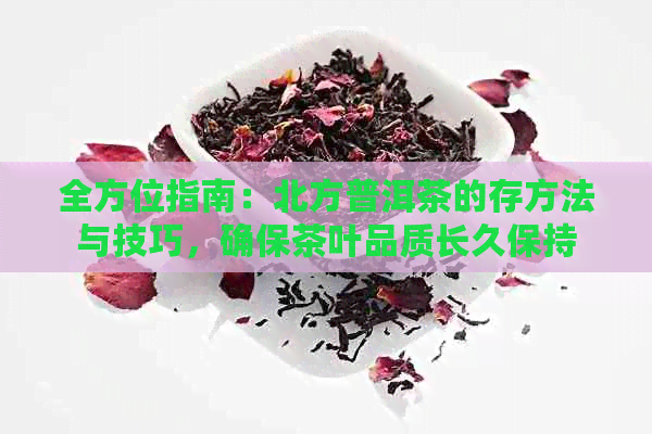 全方位指南：北方普洱茶的存方法与技巧，确保茶叶品质长久保持