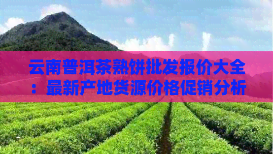 云南普洱茶熟饼批发报价大全：最新产地货源价格促销分析