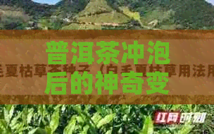 普洱茶冲泡后的神奇变化：一次解析普洱茶颜色的奥秘