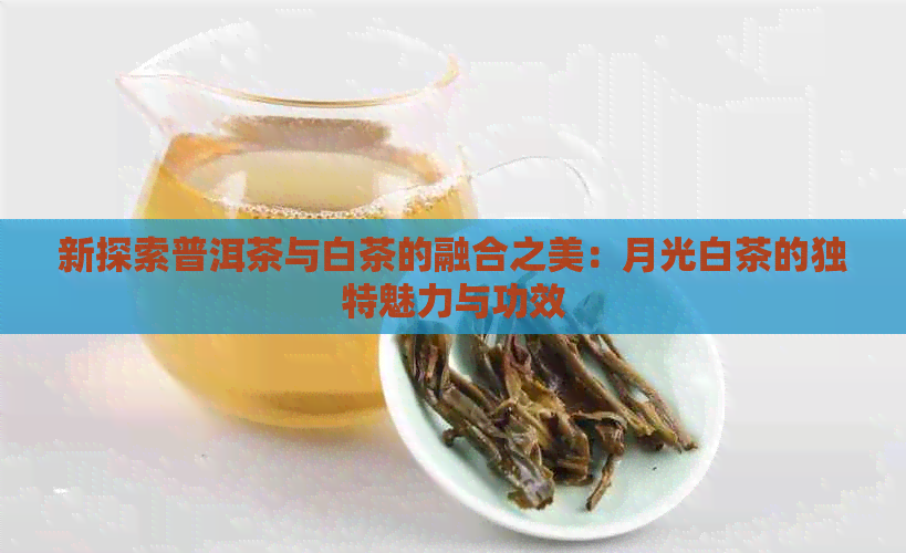 新探索普洱茶与白茶的融合之美：月光白茶的独特魅力与功效