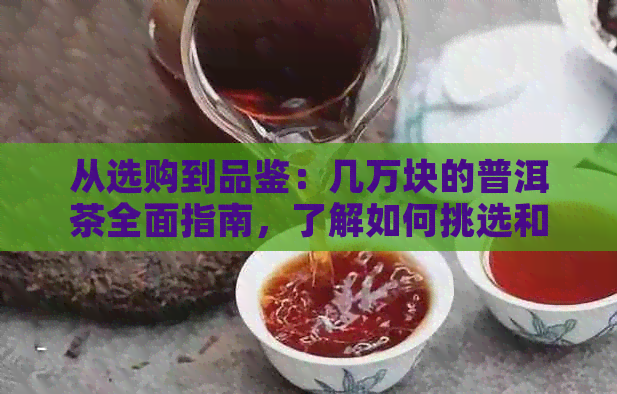 从选购到品鉴：几万块的普洱茶全面指南，了解如何挑选和欣高品质普洱茶