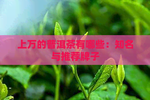 上万的普洱茶有哪些：知名与推荐牌子