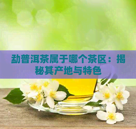 勐普洱茶属于哪个茶区：揭秘其产地与特色