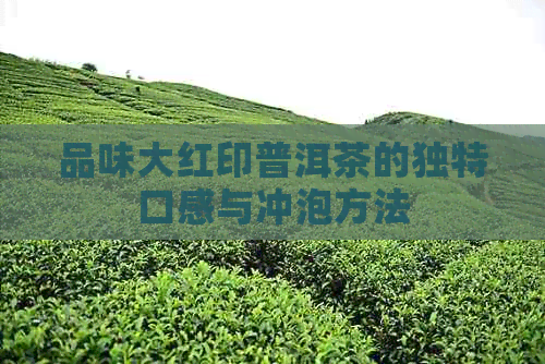 品味大红印普洱茶的独特口感与冲泡方法