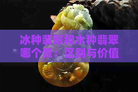 冰种翡翠和水种翡翠哪个贵：区别与价值对比