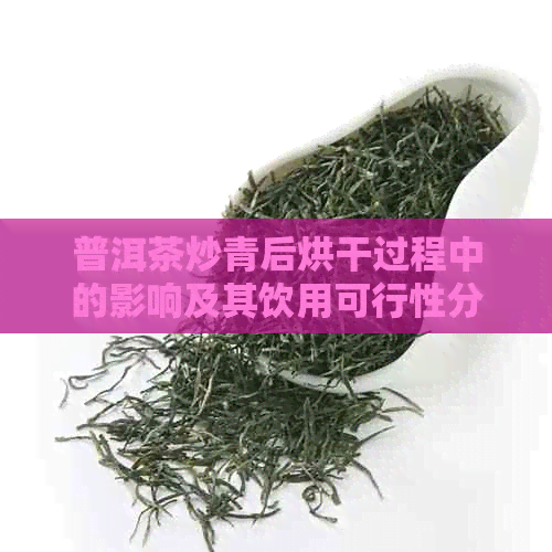 普洱茶炒青后烘干过程中的影响及其饮用可行性分析