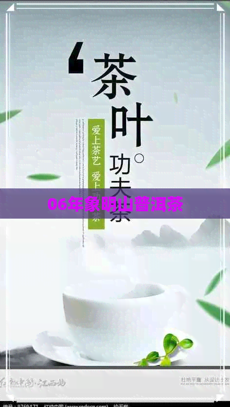 06年象明山普洱茶