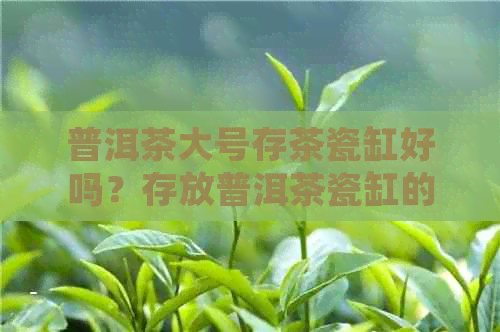 普洱茶大号存茶瓷缸好吗？存放普洱茶瓷缸的使用效果如何？