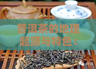 普洱茶的地理起源与特色：全方位解析与比较