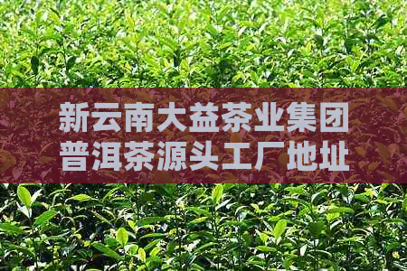 新云南大益茶业集团普洱茶源头工厂地址及活动详情