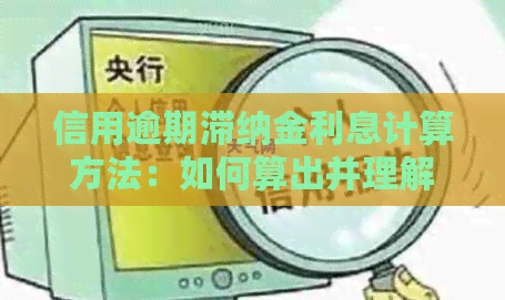 信用逾期滞纳金利息计算方法：如何算出并理解信用卡逾期滞纳金