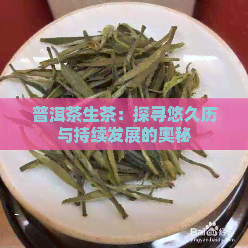 普洱茶生茶：探寻悠久历与持续发展的奥秘