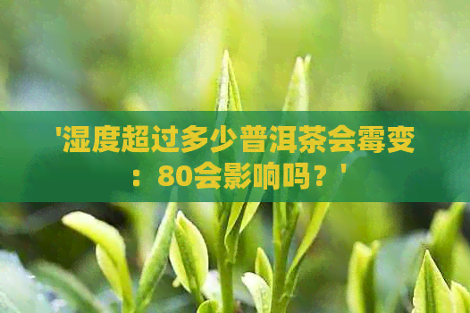 '湿度超过多少普洱茶会霉变：80会影响吗？'