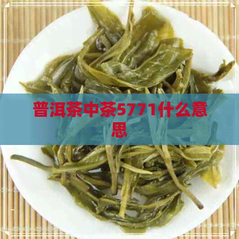 普洱茶中茶5771什么意思