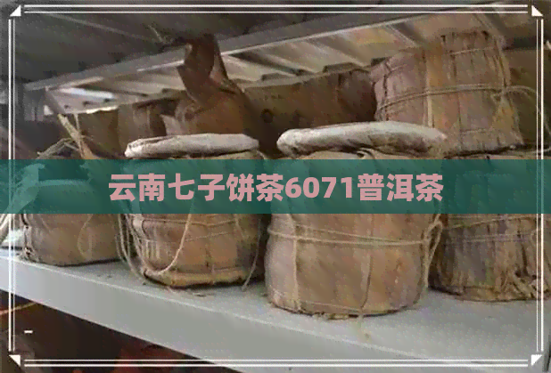 云南七子饼茶6071普洱茶