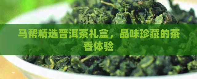 马帮精选普洱茶礼盒，品味珍藏的茶香体验