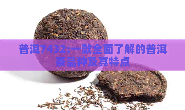 普洱7432:一款全面了解的普洱茶品种及其特点