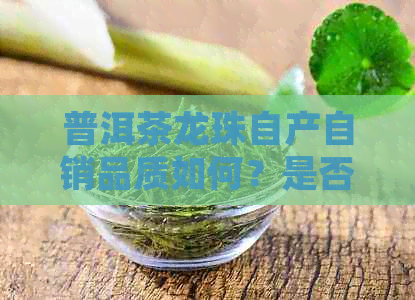 普洱茶龙珠自产自销品质如何？是否值得购买？