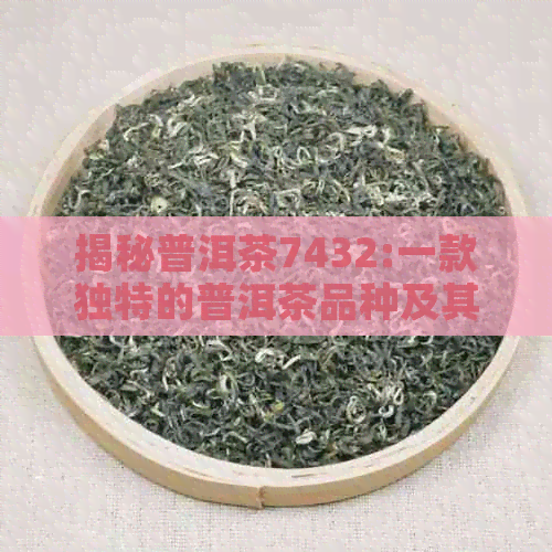 揭秘普洱茶7432:一款独特的普洱茶品种及其历与文化价值