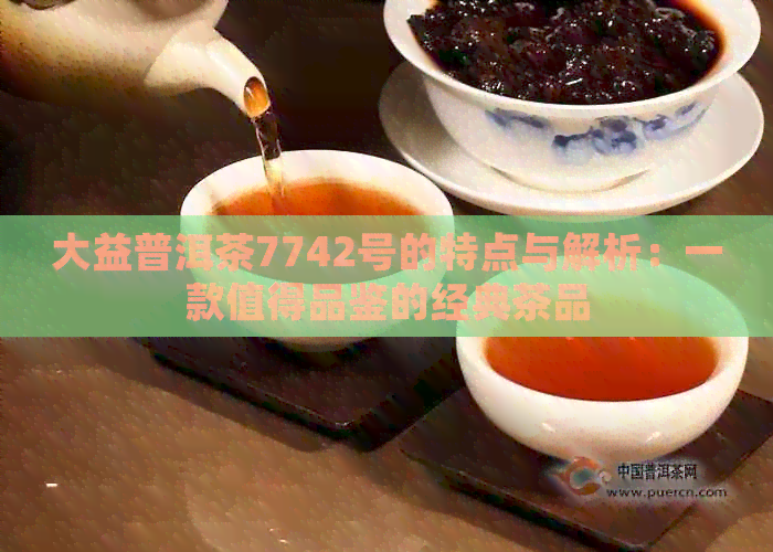 大益普洱茶7742号的特点与解析：一款值得品鉴的经典茶品