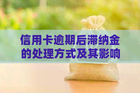 信用卡逾期后滞纳金的处理方式及其影响：是否计入本金账户？