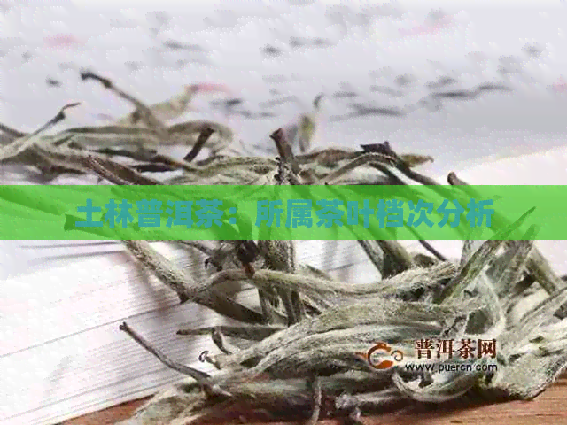 土林普洱茶：所属茶叶档次分析