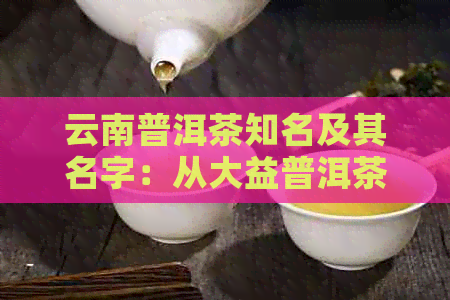 云南普洱茶知名及其名字：从大益普洱茶到龙润茶的特色与口感