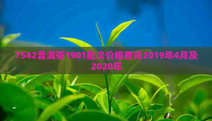 7542普洱茶1901批次价格查询2019年4月及2020年