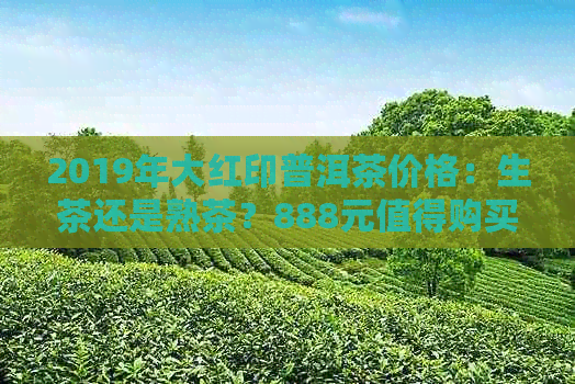 2019年大红印普洱茶价格：生茶还是熟茶？888元值得购买吗？