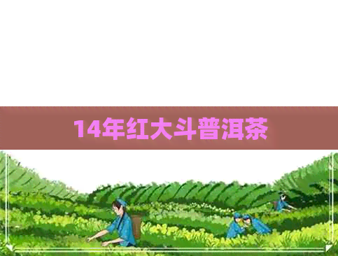 14年红大斗普洱茶