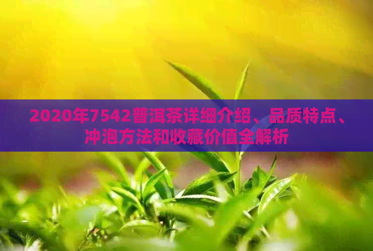 2020年7542普洱茶详细介绍、品质特点、冲泡方法和收藏价值全解析