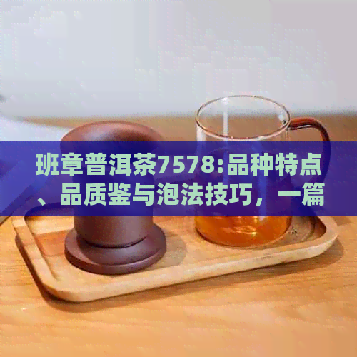 班章普洱茶7578:品种特点、品质鉴与泡法技巧，一篇全面指南