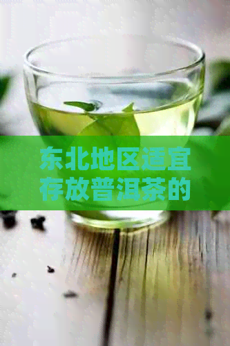 东北地区适宜存放普洱茶的秘诀：如何选择存方式以保持其品质