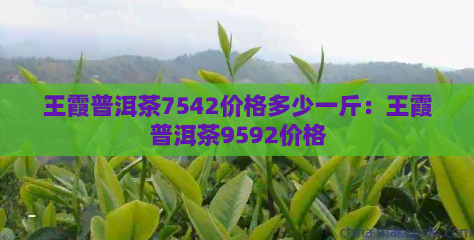 王霞普洱茶7542价格多少一斤：王霞普洱茶9592价格