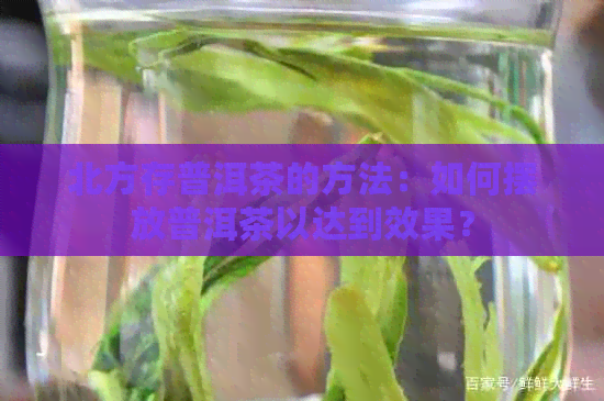 北方存普洱茶的方法：如何摆放普洱茶以达到效果？