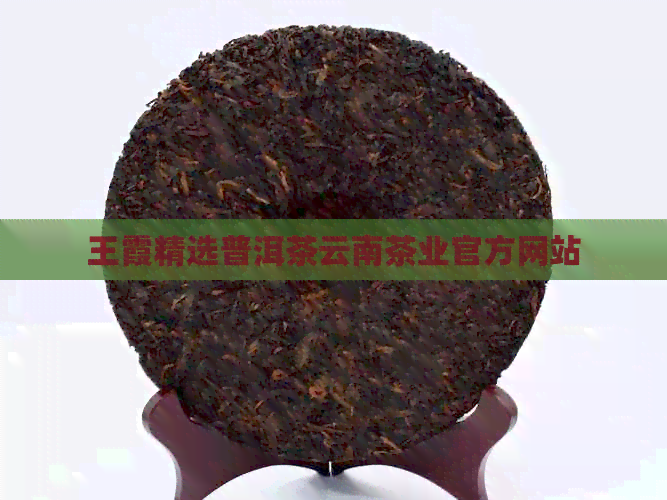 王霞精选普洱茶云南茶业官方网站