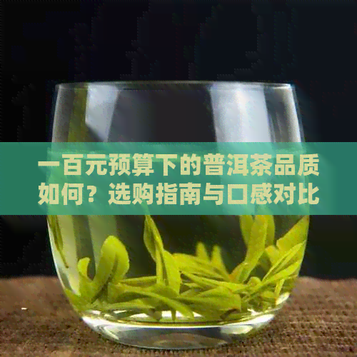 一百元预算下的普洱茶品质如何？选购指南与口感对比分析