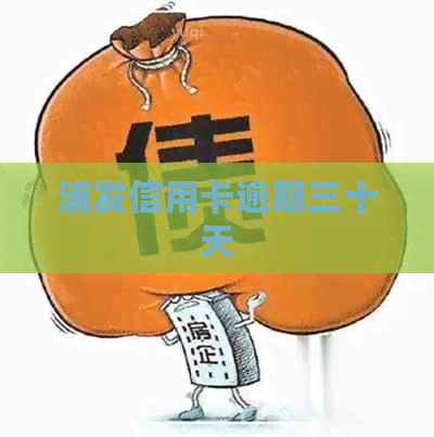 浦发信用卡逾期三十天