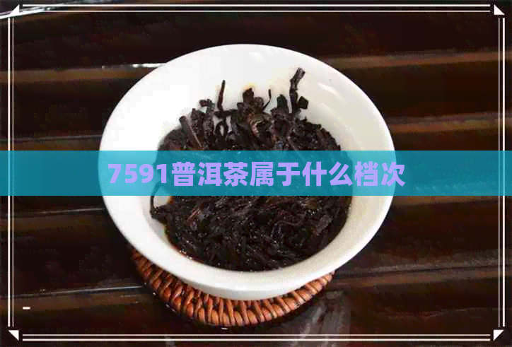 7591普洱茶属于什么档次