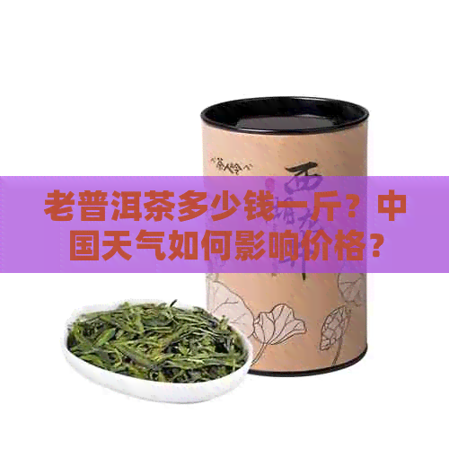 老普洱茶多少钱一斤？中国天气如何影响价格？