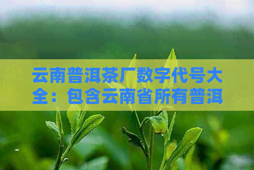 云南普洱茶厂数字代号大全：包含云南省所有普洱茶厂的编号信息。