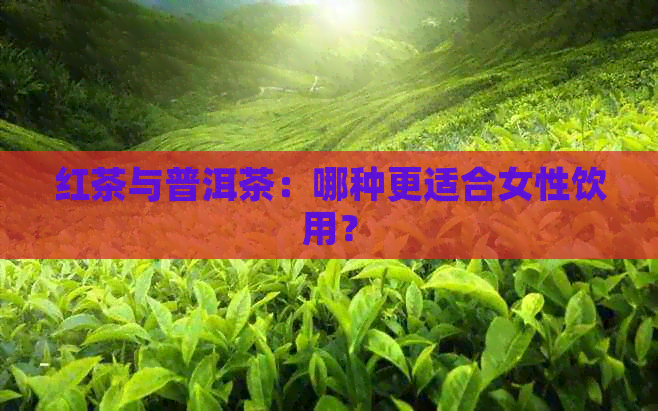 红茶与普洱茶：哪种更适合女性饮用？