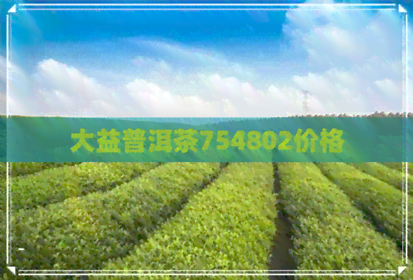 大益普洱茶754802价格