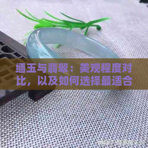 缅玉与翡翠：美观程度对比，以及如何选择最适合您的宝石