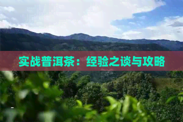 实战普洱茶：经验之谈与攻略