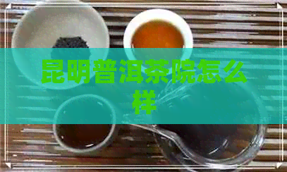 昆明普洱茶院怎么样