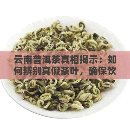 云南普洱茶真相揭示：如何辨别真假茶叶，确保饮用安全与品质？