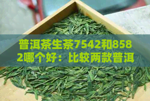 普洱茶生茶7542和8582哪个好：比较两款普洱茶的差异