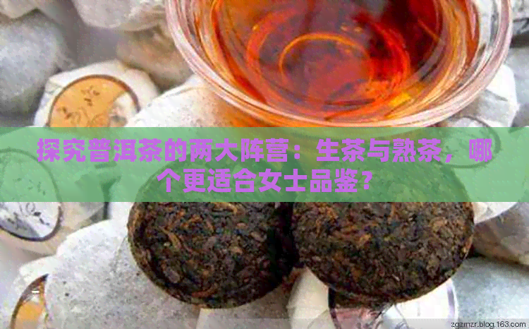 探究普洱茶的两大阵营：生茶与熟茶，哪个更适合女士品鉴？